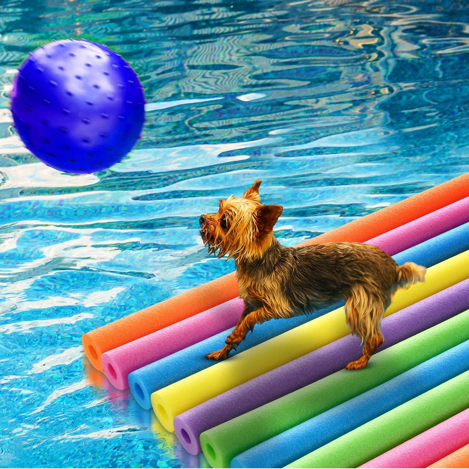18 sztuk piankowych pływaków d – Foam Pool Noodle recenzja i cena